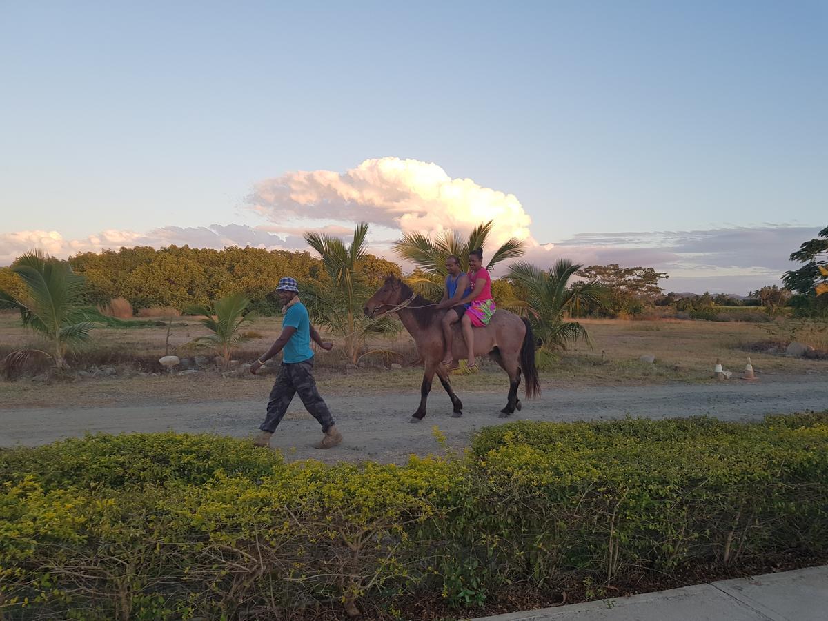 Bayview Cove Resort Nadi Zewnętrze zdjęcie