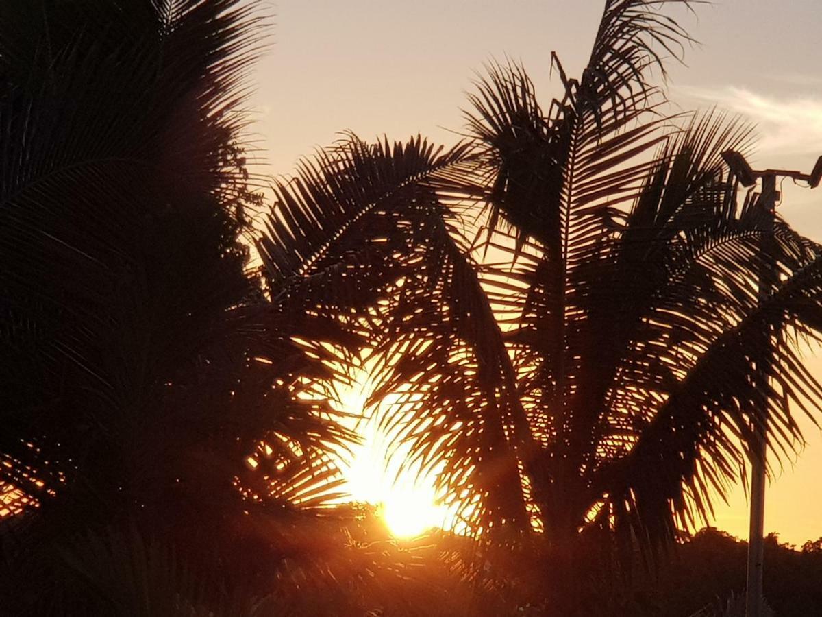 Bayview Cove Resort Nadi Zewnętrze zdjęcie